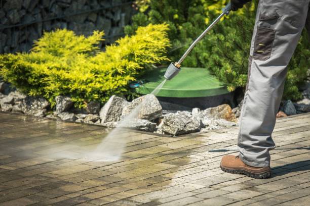 Best Spring Cleaning  in Rochester, NY