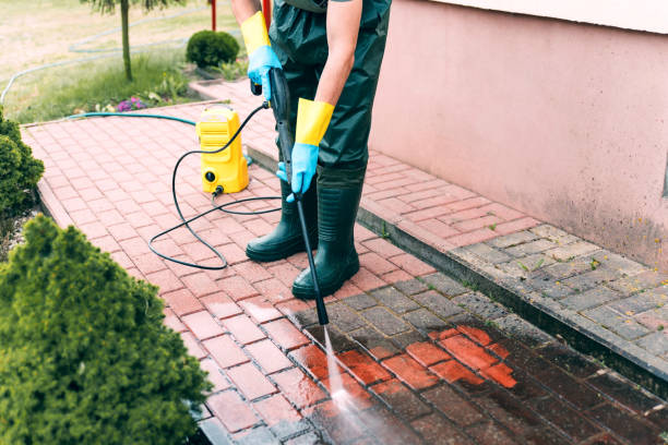 Best Playground Equipment Cleaning  in Rochester, NY